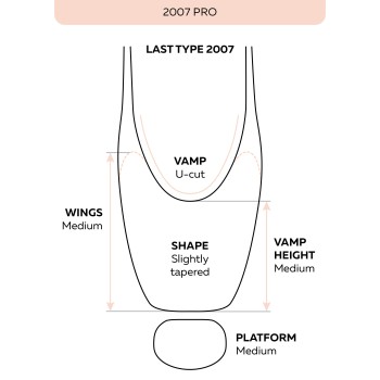 Pointes 2007 pro H GRISHKO