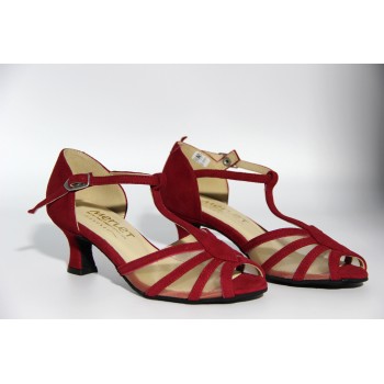 Chaussures danse de salon...